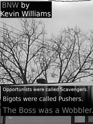 cover image of Bnw